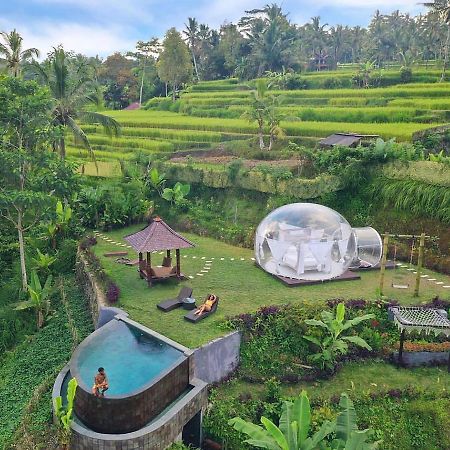 Romantic Bubble Dome Hotel Payangan Exterior foto