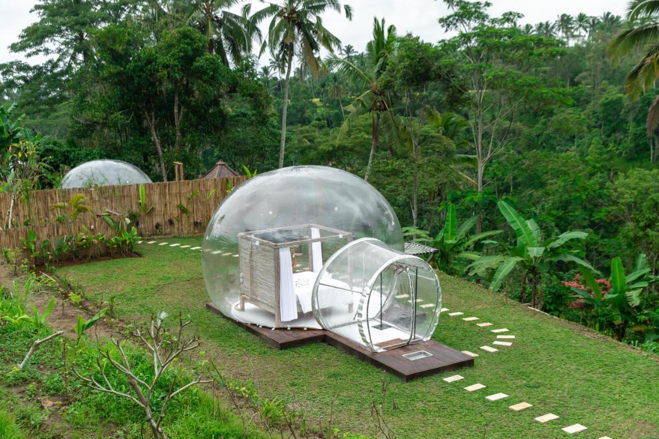 Romantic Bubble Dome Hotel Payangan Cameră foto